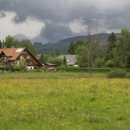 Ferienwohnung Mattenweg 1a Hinterzarten Zimmer foto