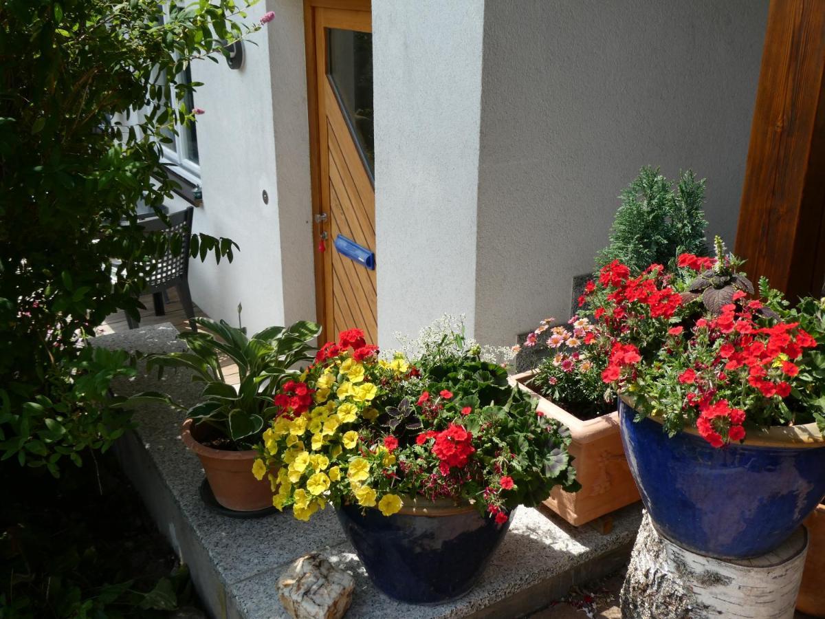Appartement Mattenweg 1a Hinterzarten
