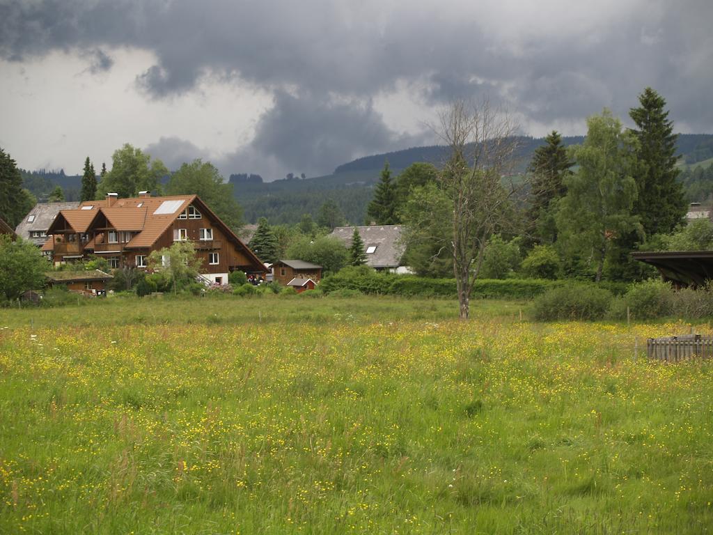 Mattenweg 1a Hinterzarten